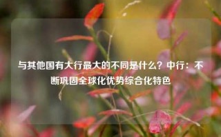 与其他国有大行最大的不同是什么？中行：不断巩固全球化优势综合化特色