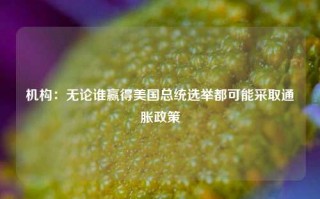 机构：无论谁赢得美国总统选举都可能采取通胀政策