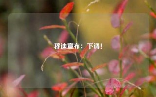 穆迪宣布：下调！