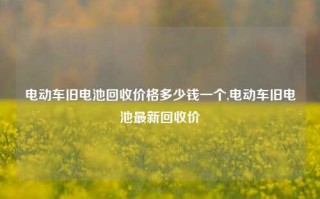 电动车旧电池回收价格多少钱一个,电动车旧电池最新回收价