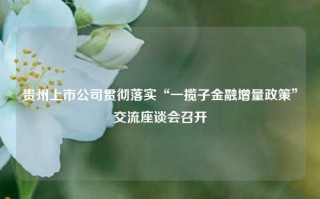 贵州上市公司贯彻落实“一揽子金融增量政策”交流座谈会召开