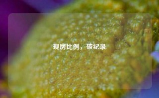 现房比例，破纪录