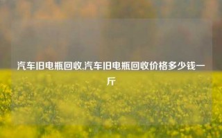 汽车旧电瓶回收,汽车旧电瓶回收价格多少钱一斤