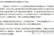 大瓜后续！200亿市值湘财股份原董事长林俊波，举报原财务总和人力总职务侵占上海个税返还500万