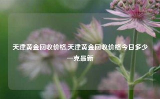 天津黄金回收价格,天津黄金回收价格今日多少一克最新