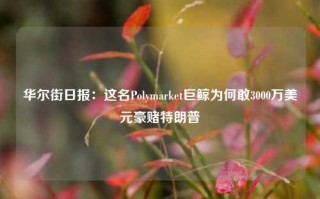 华尔街日报：这名Polymarket巨鲸为何敢3000万美元豪赌特朗普