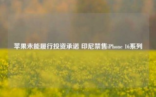 苹果未能履行投资承诺 印尼禁售iPhone 16系列