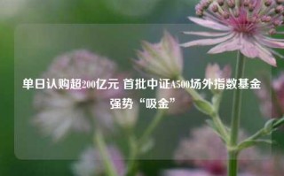 单日认购超200亿元 首批中证A500场外指数基金强势“吸金”