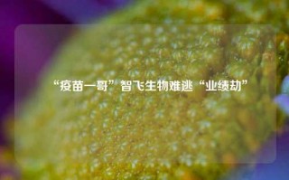 “疫苗一哥”智飞生物难逃“业绩劫”