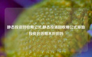 静态投资回收期公式,静态投资回收期公式原始投资包括期末折旧吗