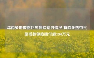 年内多地披露巨灾保险赔付情况 有险企热带气旋指数保险赔付超3200万元