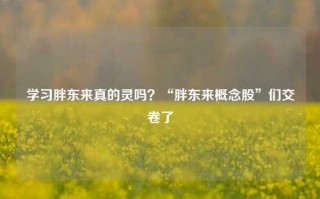 学习胖东来真的灵吗？“胖东来概念股”们交卷了