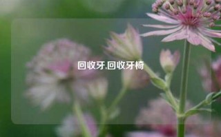 回收牙,回收牙椅