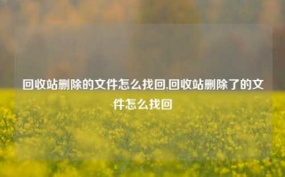 回收站删除的文件怎么找回,回收站删除了的文件怎么找回