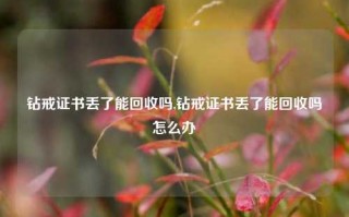 钻戒证书丢了能回收吗,钻戒证书丢了能回收吗怎么办