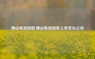 佛山电池回收,佛山电池回收上市龙头公司