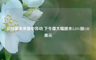 法拉第未来盘中异动 下午盘大幅跳水5.24%报1.81美元