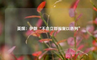 英媒：伊朗“不会立即报复以色列”