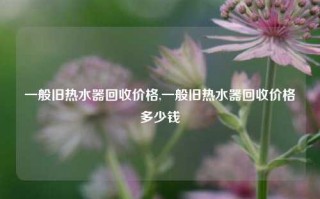 一般旧热水器回收价格,一般旧热水器回收价格多少钱