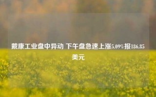 戴康工业盘中异动 下午盘急速上涨5.09%报186.85美元