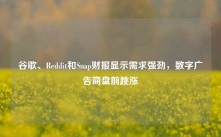 谷歌、Reddit和Snap财报显示需求强劲，数字广告商盘前跳涨