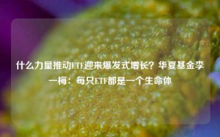 什么力量推动ETF迎来爆发式增长？华夏基金李一梅：每只ETF都是一个生命体