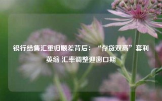 银行结售汇重归顺差背后：“存贷双高”套利萎缩 汇率调整迎窗口期