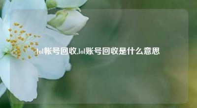 lol帐号回收,lol账号回收是什么意思