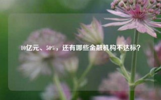 10亿元、50%，还有哪些金融机构不达标？