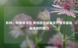 机构：特朗普当选 美国固定收益资产或将面临最强劲的阻力