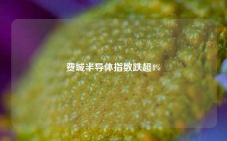 费城半导体指数跌超4%