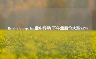 Revolve Group, Inc.盘中异动 下午盘股价大涨5.03%