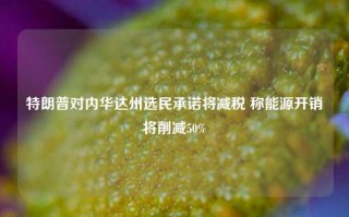 特朗普对内华达州选民承诺将减税 称能源开销将削减50%