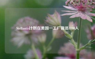 Stellantis计划在美国一工厂裁员1100人