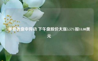 攀登者盘中异动 下午盘股价大涨5.57%报14.00美元