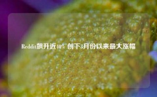 Reddit飙升近40% 创下3月份以来最大涨幅