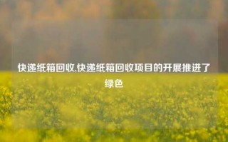 快递纸箱回收,快递纸箱回收项目的开展推进了绿色