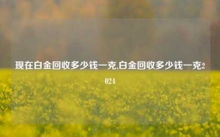 现在白金回收多少钱一克,白金回收多少钱一克2024