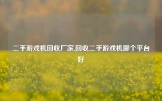 二手游戏机回收厂家,回收二手游戏机哪个平台好