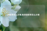 回收率怎么计算,有效回收率怎么计算