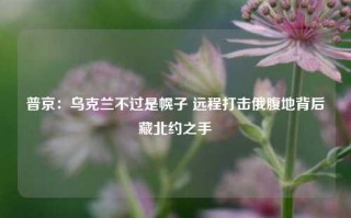 普京：乌克兰不过是幌子 远程打击俄腹地背后藏北约之手