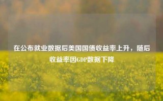 在公布就业数据后美国国债收益率上升，随后收益率因GDP数据下降