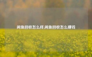 闲鱼回收怎么样,闲鱼回收怎么赚钱