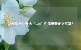 龙耀东方！天选“A500”如何重新定义宽基？