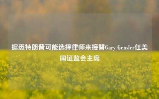 据悉特朗普可能选择律师来接替Gary Gensler任美国证监会主席