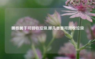 哪些属于可回收垃圾,哪几类是可回收垃圾