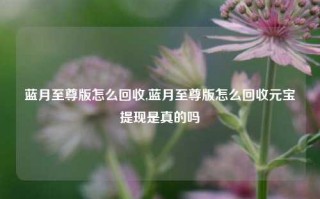 蓝月至尊版怎么回收,蓝月至尊版怎么回收元宝提现是真的吗