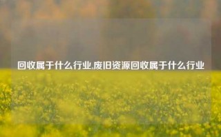 回收属于什么行业,废旧资源回收属于什么行业