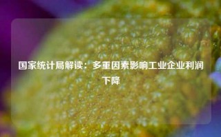 国家统计局解读：多重因素影响工业企业利润下降