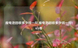 废电池回收多少钱一斤,废电池回收多少钱一斤2024年